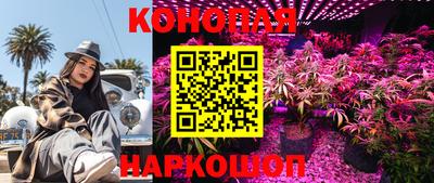 кокс Краснодар