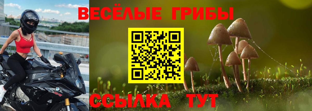 Галлюциногенные грибы MAGIC MUSHROOMS  Галлюциногенные грибы прущие грибы  Вход с VPN  Бирск 