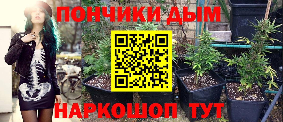 Бирск  Канабис MAZAR  Каннабис планчик  Вход с VPN 